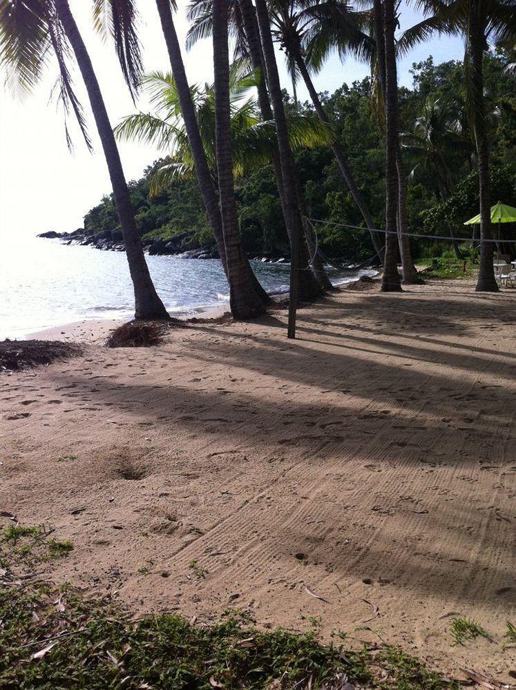 Turtle Cove Beach Resort - Adults Only Lgbtqia & Allies Wangetti Eksteriør billede