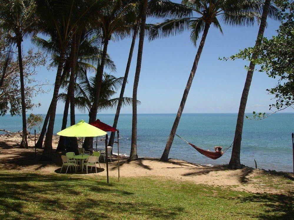 Turtle Cove Beach Resort - Adults Only Lgbtqia & Allies Wangetti Eksteriør billede