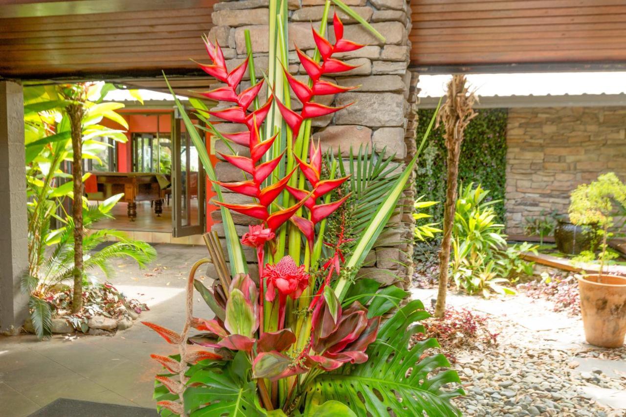 Turtle Cove Beach Resort - Adults Only Lgbtqia & Allies Wangetti Eksteriør billede