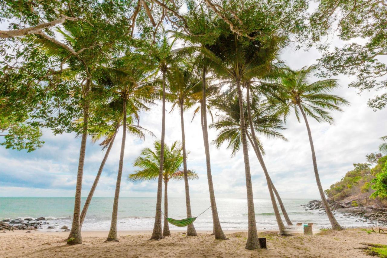 Turtle Cove Beach Resort - Adults Only Lgbtqia & Allies Wangetti Eksteriør billede